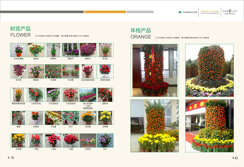 廣州花場苗木畫冊設計,花場苗木畫冊設計公司