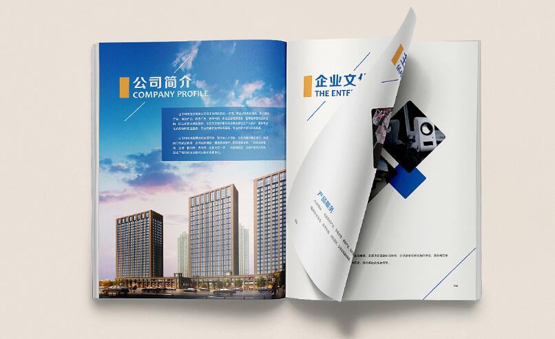 廣州電子畫冊樣板設(shè)計案例欣賞