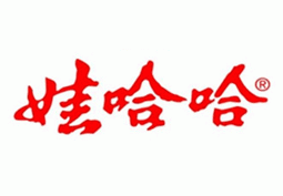 娃哈哈模板vi設(shè)計(jì)